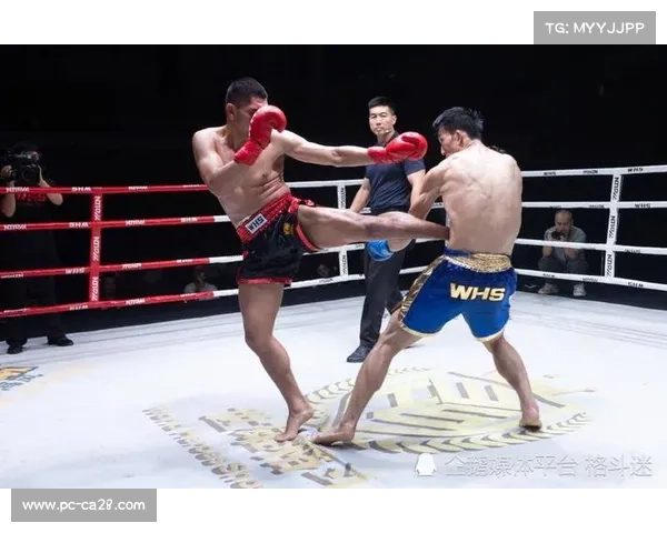 白大拿称赞副赛选手表现出色 新秀实力为赛事长远发展注入动力 白大拿称赞副赛选手表现出色 新秀实力为赛事长远发展注入动力